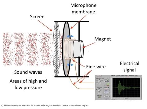 Dynamic microphone — Science Learning Hub