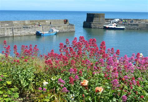 A Guide To Our Northumberland Coastal Route Road Trip New Girl In Toon