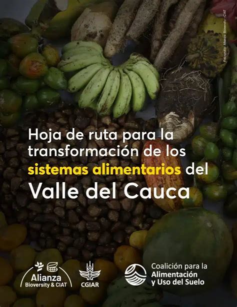 Hoja de ruta para la transformación de los sistemas alimentarios del