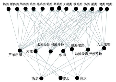 基于水鸟栖息地恢复的黄河三角洲水资源综合利用策略 中科院地理科学与资源研究所 Free考研考试