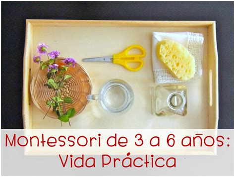 Curso Online Montessori De A A Os Vida Pr Ctica Cursos