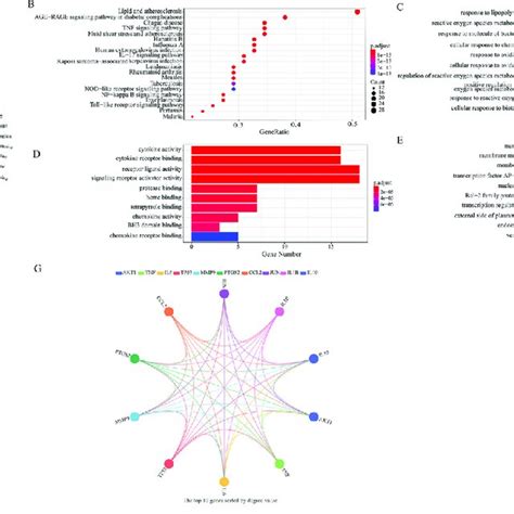 The Results Of Network Pharmacology Analysis A The Herb Active Download Scientific Diagram