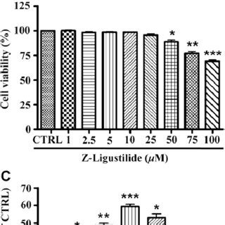 Regulation Of Z Ligustilide Induced Nrf Activation And Ho Expression