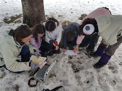 Nature Game Au Lac Genin Avec Sylvain Poncet Montagnes Du Jura