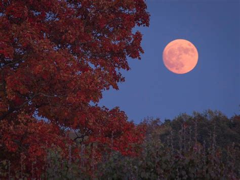 wbir.com | Harvest Moon shines in October skies