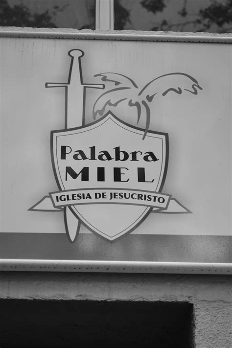 los paseos de 2016 desde la mirada de Javier del Amo | elpaseodejane