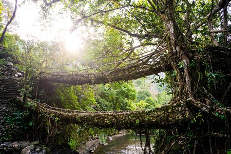 Nongriat and the living root bridges of Meghalaya - Lost With Purpose