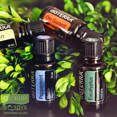 Применение натуральных эфирных масел doTerra (Дотерра): косметология ...
