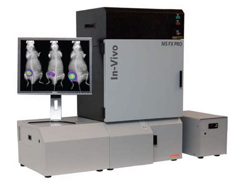 In-vivo Fluorescence Bruker System | Molecular Imaging Center ...