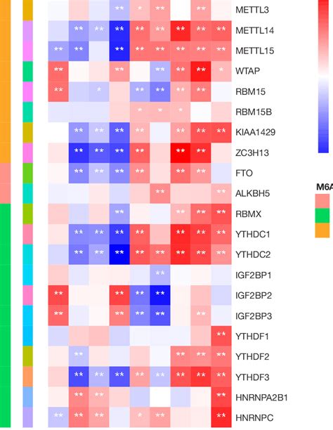 Heatmap Showing The Correlation Between The Expression Levels Of Key