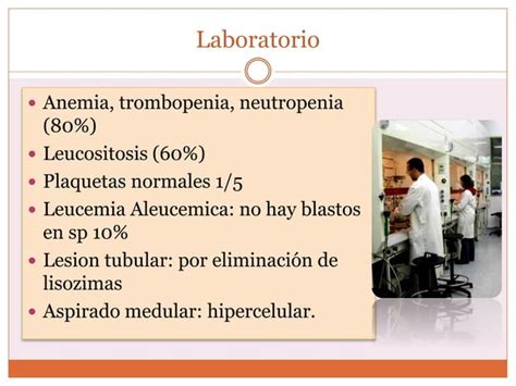 Leucemia Mieloide Aguda Lma PPT