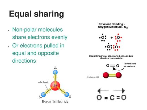 Chemical Bonds Distinguish Between Common Ionic And Covalent Compounds