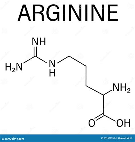 Arginine Or L Arginine Arg R Amino Acid Molecule Skeletal Formula