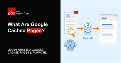 Understanding Crawlability And Indexability Of A Website Perth