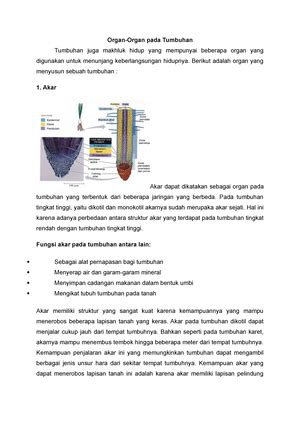 Praktikum 5 Biologi Tanaman Fotosintesis Dan Respirasi LAPORAN