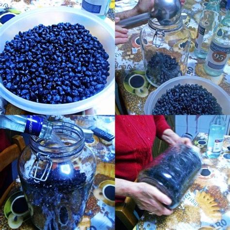 Liquore Di Mirto Preparato In Casa Ricetta Sarda Cucina Casareccia