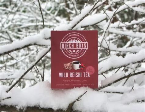 Rose Reishi Tea - Shop Oakland County Main Streets