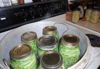 how much water to put in pressure canner
