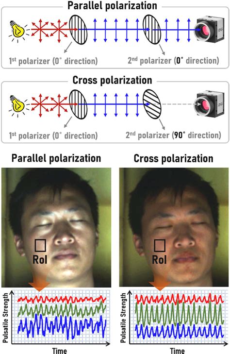 Figure 2 From Multispectral Depolarization Based Living Skin Detection