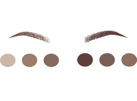 Eyebrows Transparent Background Png