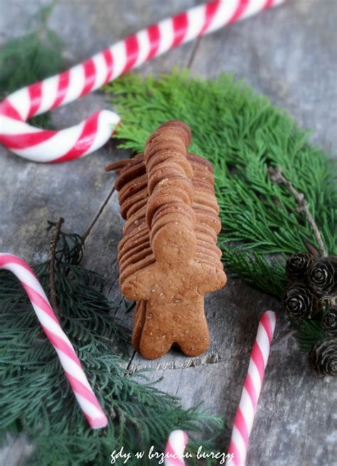 Gdy W Brzuchu Burczy Szwedzkie Pierniczki Pepparkakor