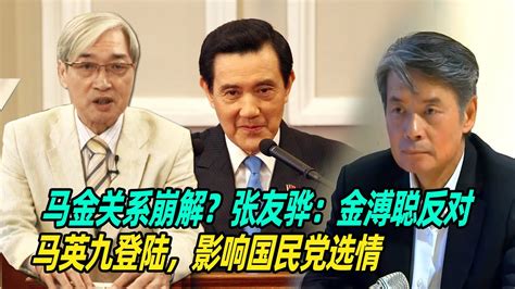 马金关系崩解？张友骅：金溥聪反对马英九登陆，影响国民党选情 Youtube