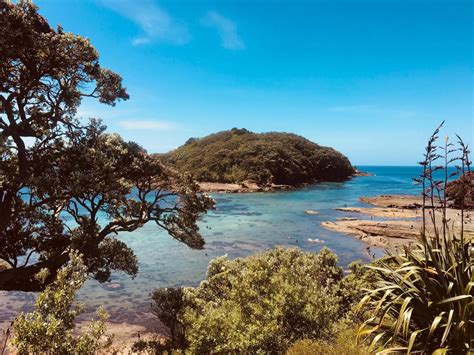 Guided Snorkel Tours Goat Island Marine Reserve Leigh Auckland