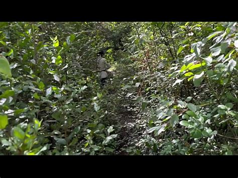 Outdoor Walk Turns Into Fucking XVIDEOS