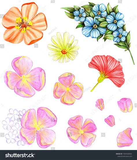 103 384 Coloured Pencil Flower Images Stock Photos Vectors