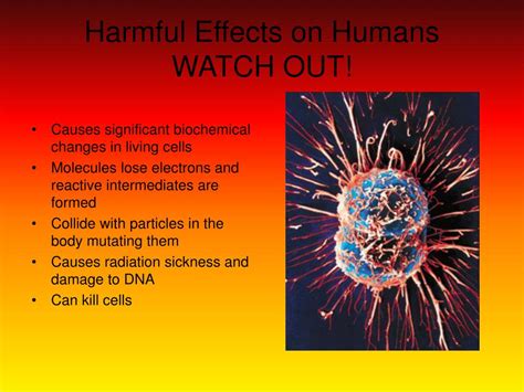 PPT - Gamma Rays “Don’t worry, they won’t sting you!” PowerPoint ...