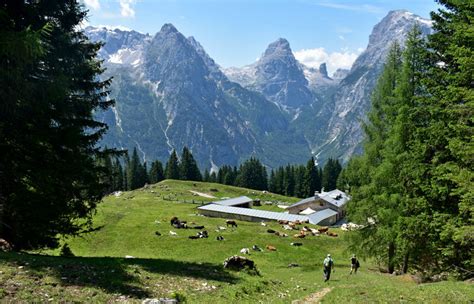 Escursione Misurina Col De Varda Rif Citta Di Carpi Malga Maraia