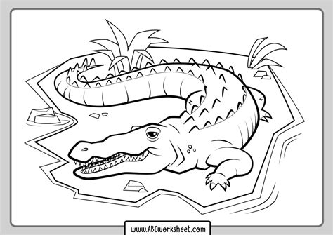 Coloring In Crocodile Coloring Pages