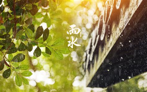 雨水二十四节气 哔哩哔哩 bilibili