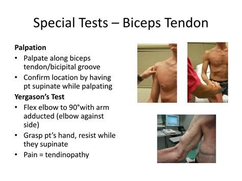 Ppt Shoulder Pain And The Shoulder Exam Powerpoint Presentation Free