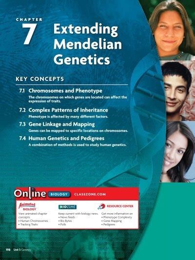 Extending Mendelian Genetics