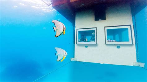 5 Underwater Hotel Rooms Where You Can Sleep With The Fishes Literally