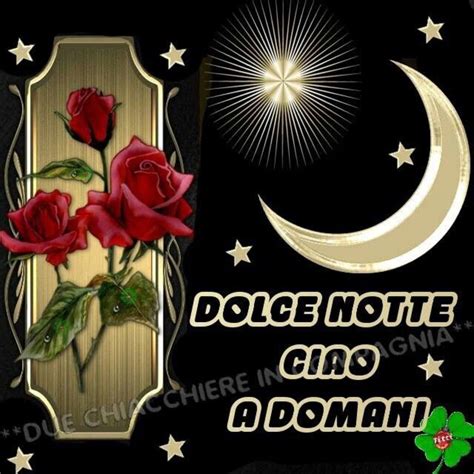 Buonanotte Immagini Bellissime Da Dedicare Lebelleimmagini It