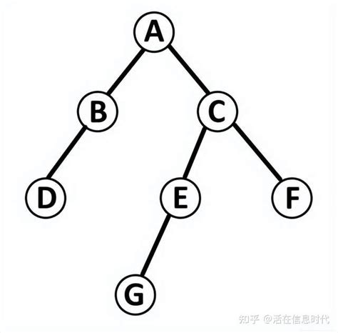 程序员应知应会之一文读懂二叉树的四种遍历 知乎