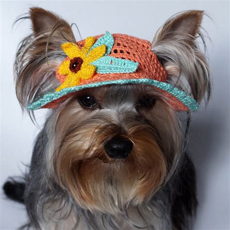 Hat For Dogs Crochet Dog Hat Dog Party Hat Dog Sun Hat