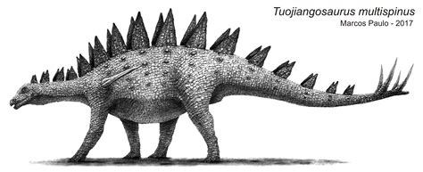 Tuojiangosaurus Multispinus Pr Hist Ria Animais Pr Hist Ricos