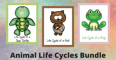 Life Cycle of Animals Printables for Preschoolers