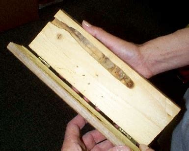 Carpenter Bee Control – Need Help? Call the Carpenter Bee Control help line at 1-800-877-7290