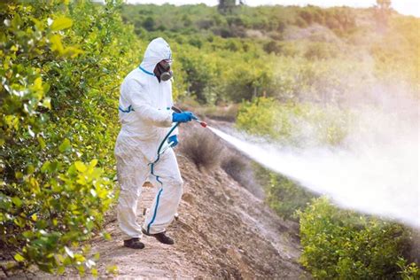 Farmer Man Spraying Fumigating Pesti Pest Control Weed Insecticide