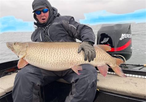 Green Bay Angler Catches One Of The Biggest Muskies Ever Outdoor Life