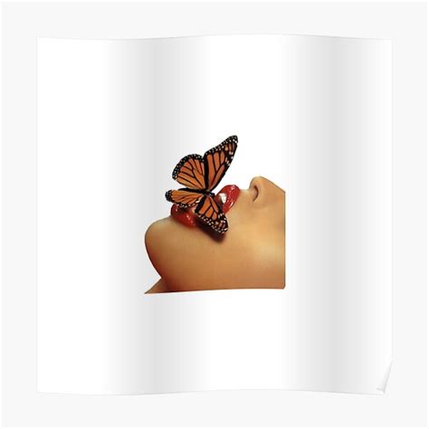 "playboy butterfly" Poster for Sale by carleemarkle | Redbubble