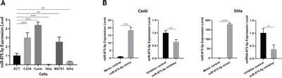 Frontiers Microrna P Inhibits The Growth And Metastasis Of