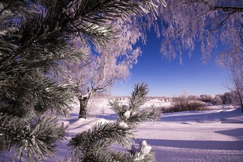 Russian winter | Russian winter | Роман Лямин | Flickr