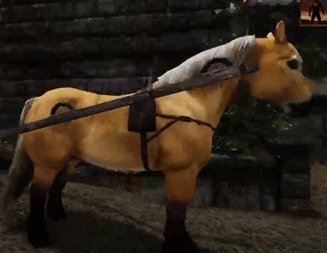 Создать мем "любимая лошадка, дикие лошади, ездовые животные ...