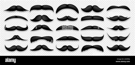 Various Black Mustache Collection Vintage Retro Mustaches Facial