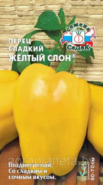 Перец сладкий ЖЁЛТЫЙ СЛОН, 0.1г: семена, семена овощных культур ...